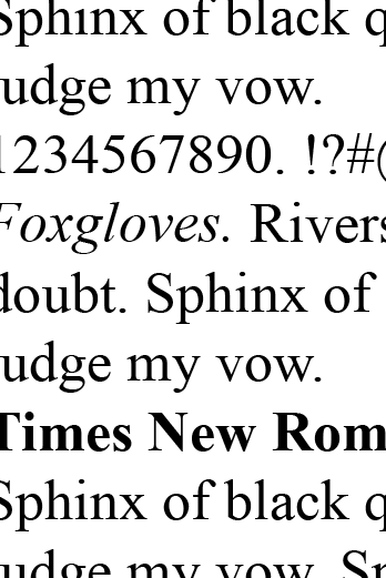 times new roman google docs