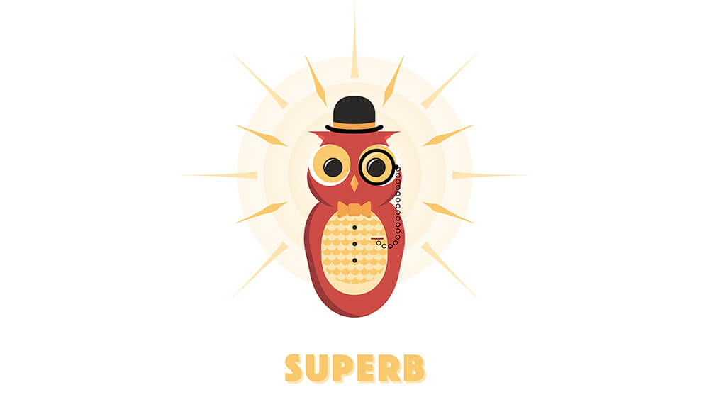 Superb Owl / Super Bowl /superbowl
